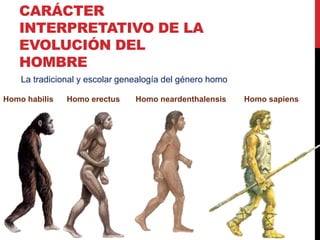 CARÁCTER
   INTERPRETATIVO DE LA
   EVOLUCIÓN DEL
   HOMBRE
    La tradicional y escolar genealogía del género homo

Homo habilis   Homo erectus     Homo neardenthalensis     Homo sapiens
 