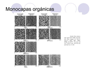 Monocapas orgánicas
 