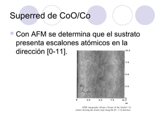 Superred de CoO/Co
 Con AFM se determina que el sustrato
 presenta escalones atómicos en la
 dirección [0-11].
 