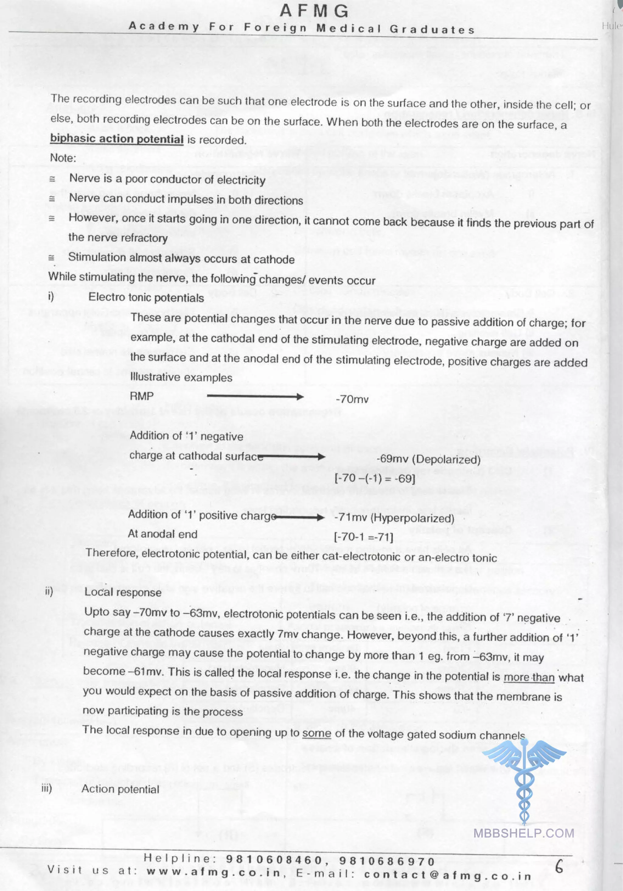 Physiology AFMG Notes | PDF