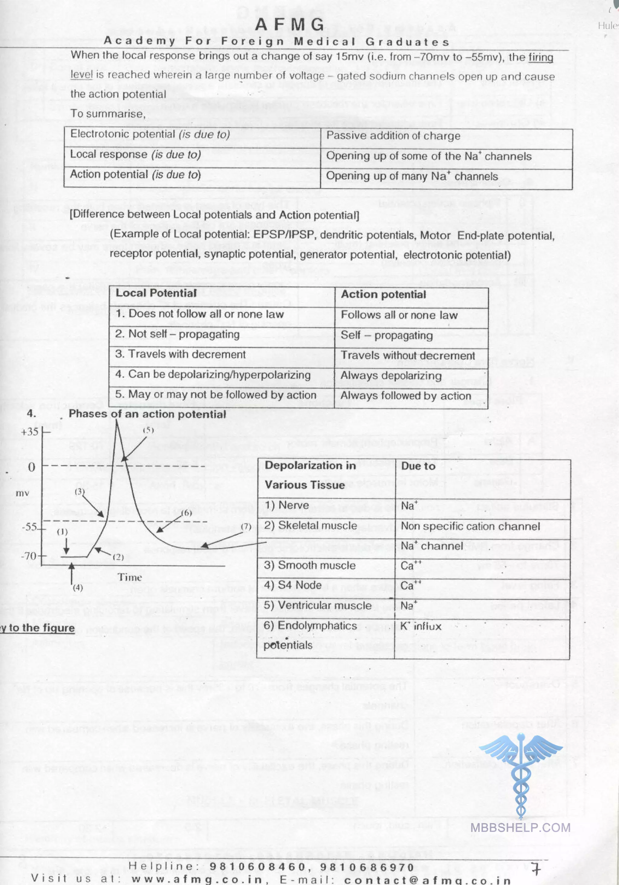 Physiology AFMG Notes | PDF