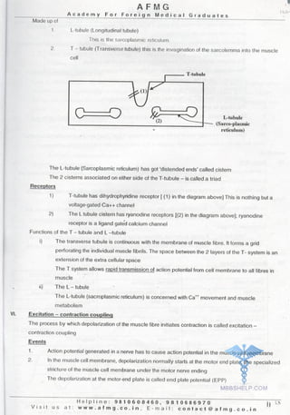 Physiology AFMG Notes | PDF