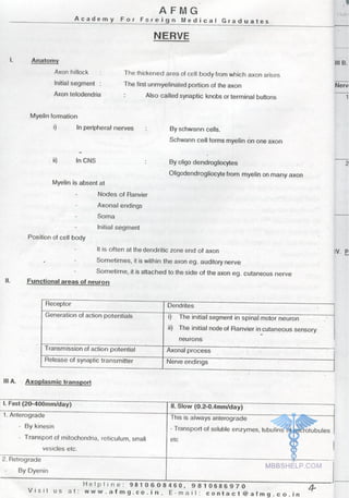 Physiology AFMG Notes | PDF