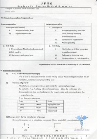 Physiology AFMG Notes | PDF