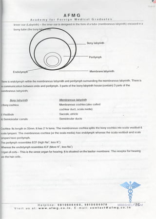 Physiology AFMG Notes | PDF