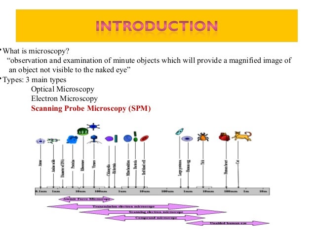 atomic force microscopy phd thesis atomic force microscopy phd thesis
