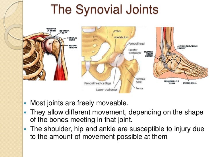 Afm study of the interactions between synovial liquid's molecular com…