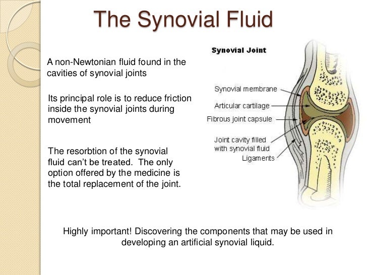 Afm study of the interactions between synovial liquid's molecular com…