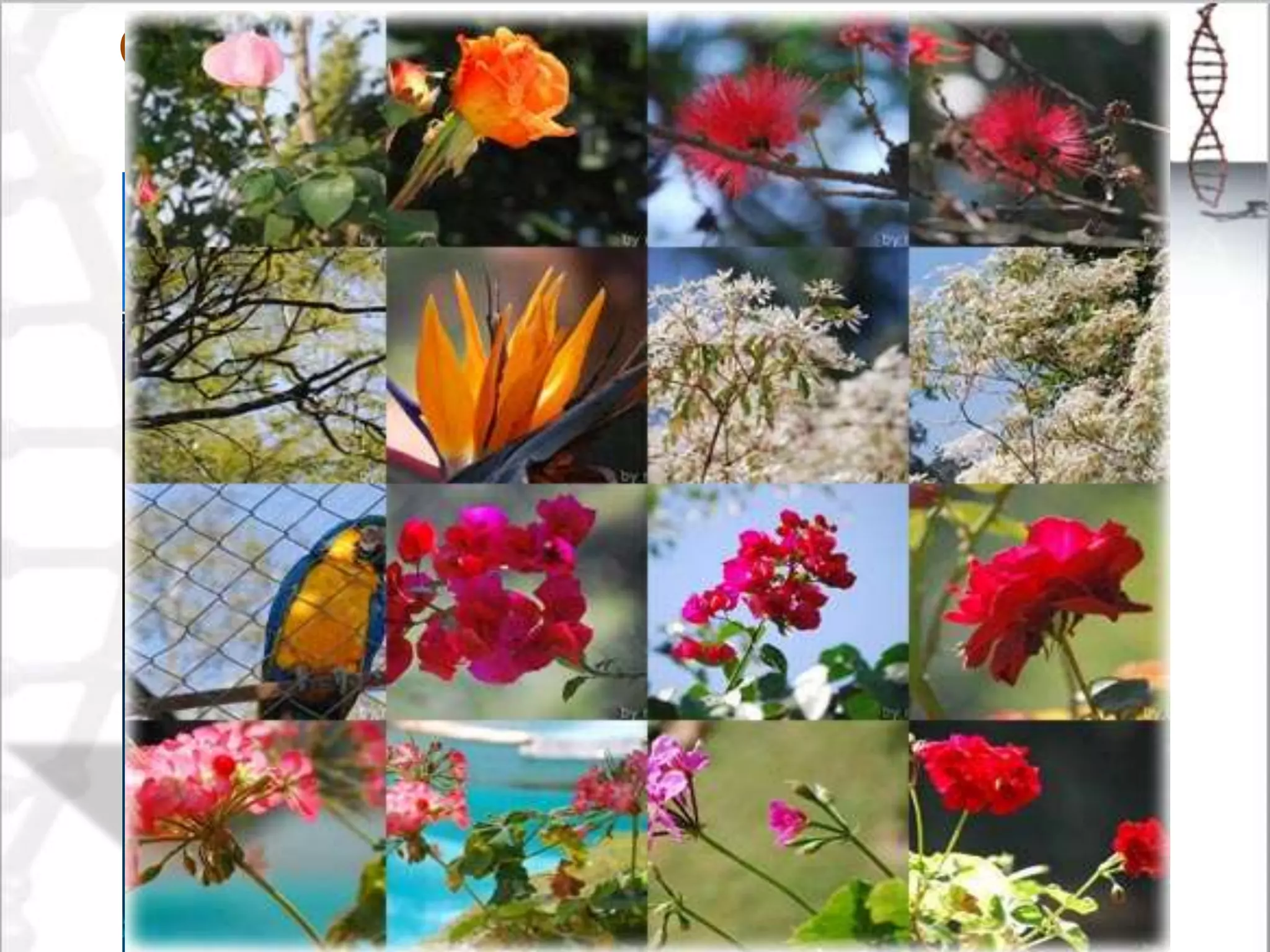 Ciência x religião
A fé no banco dos réus
Gilberto Theiss
O que pode ser sensato e logicamente razoável? Inteligência = inteligência
 