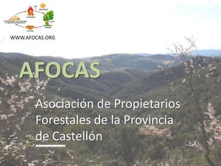 AFOCAS
Asociación de Propietarios
Forestales de la Provincia
de Castellón
WWW.AFOCAS.ORG
 