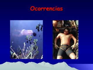 Ocorrencias 