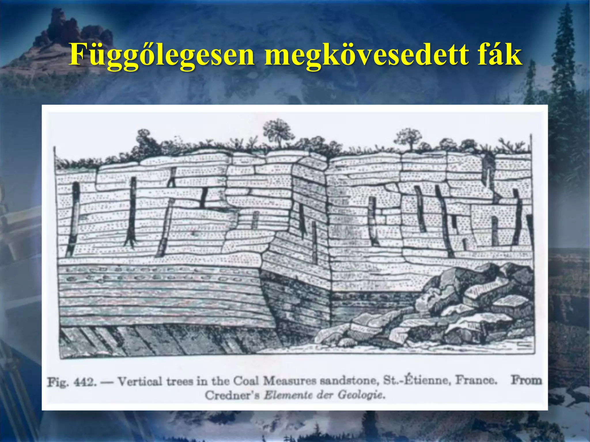 Függőlegesen megkövesedett fák