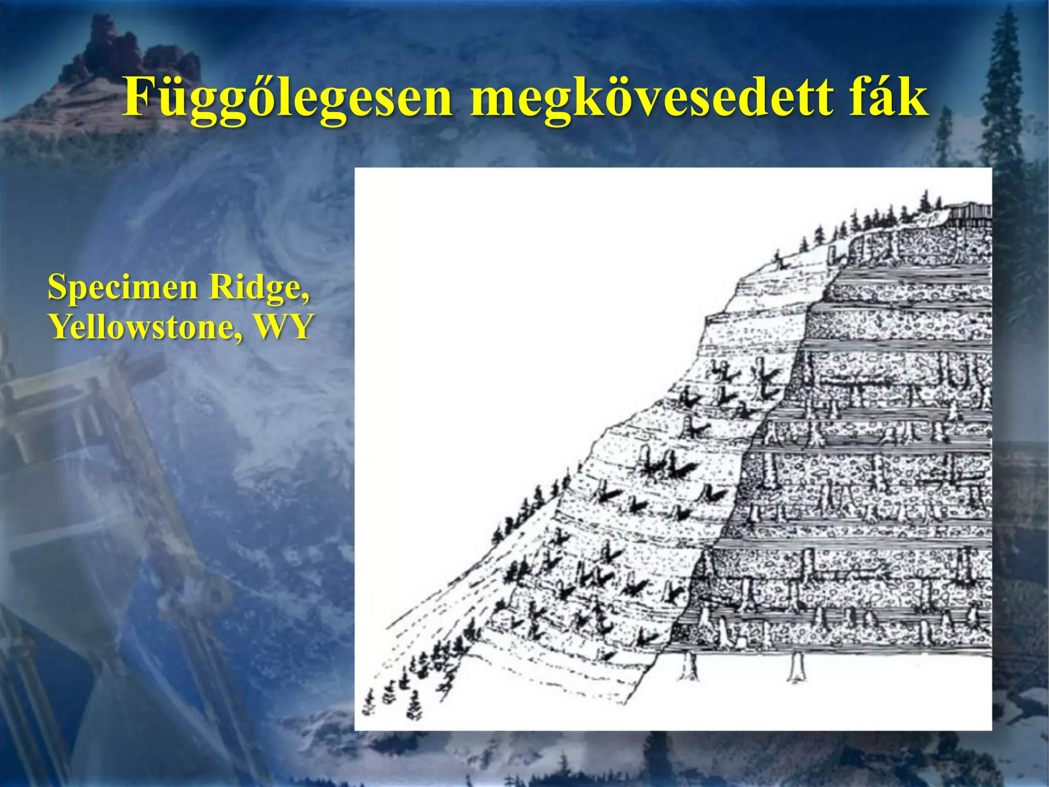 Függőlegesen megkövesedett fákSpecimen Ridge, Yellowstone, WY