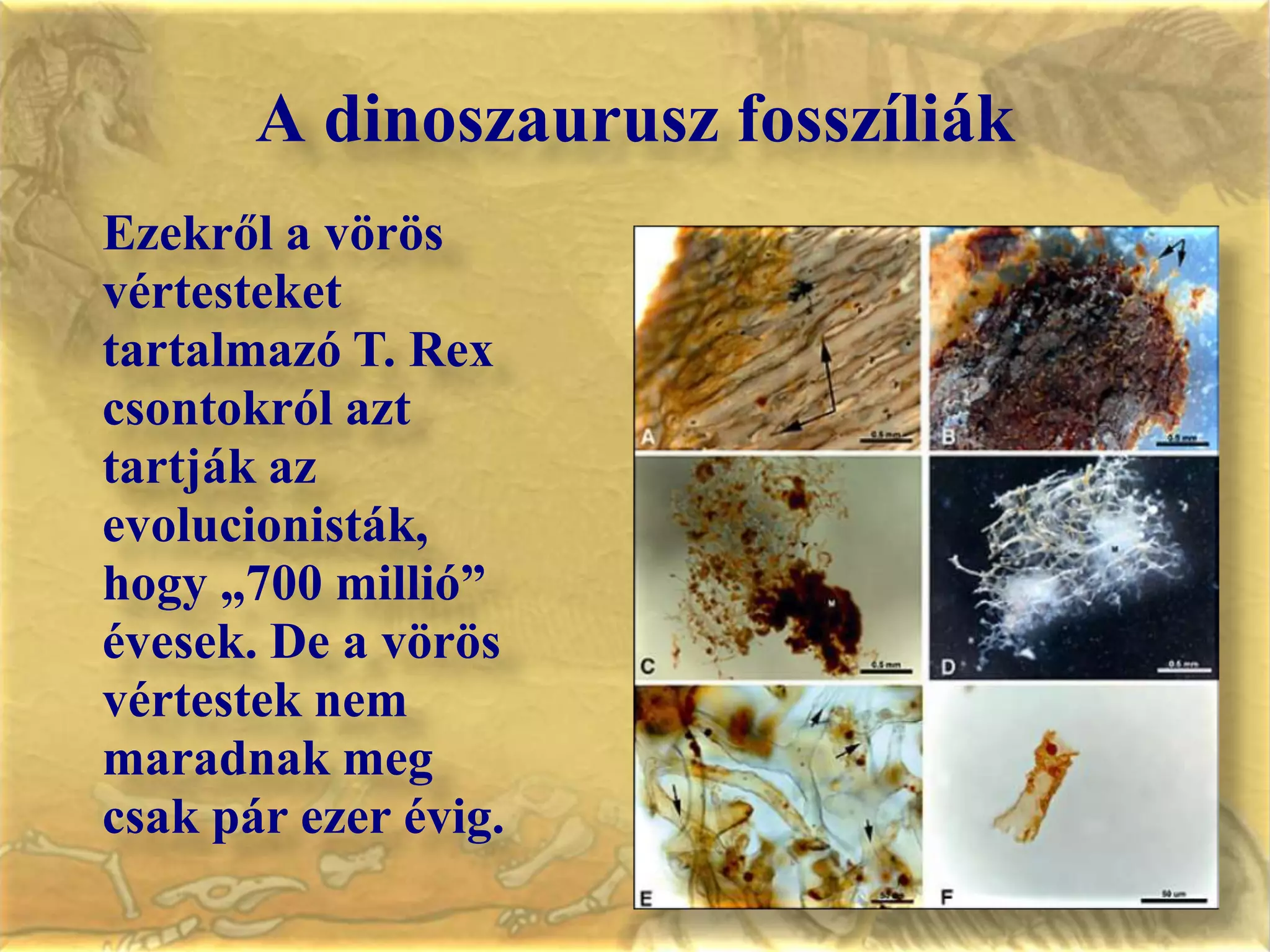 Valóság: AD 1065Mt. 