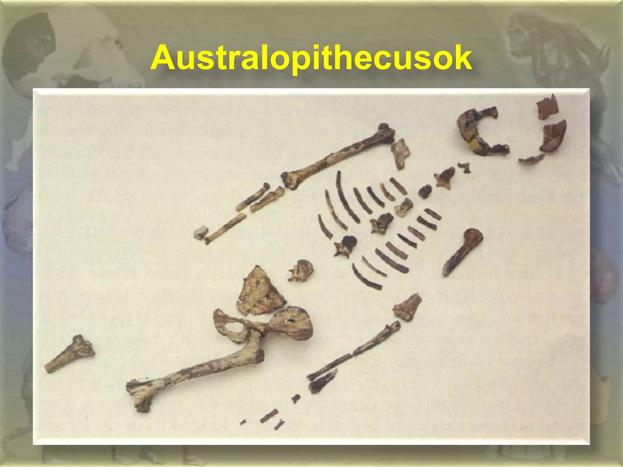 Hualalai basalt, Hawaii