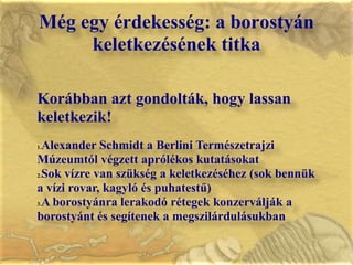 Még egy érdekesség: a borostyán keletkezésének titkaKorábban azt gondolták, hogy lassan keletkezik!Alexander Schmidt a Berlini Természetrajzi Múzeumtól végzett aprólékos kutatásokatSok vízre van szükség a keletkezéséhez (sok bennük a vízi rovar, kagyló és puhatestű)A borostyánra lerakodó rétegek konzerválják a borostyánt és segítenek a megszilárdulásukban 