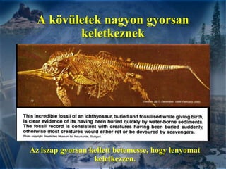 A kövületek nagyon gyorsan keletkeznekAz iszap gyorsan kellett betemesse, hogy lenyomat keletkezzen.