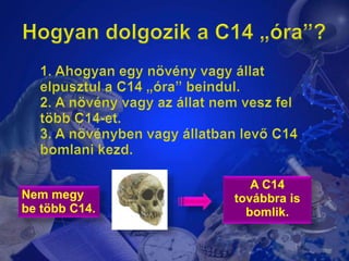 Hogyandolgozik a C14 „óra”?1. Ahogyanegynövényvagyállatelpusztul a C14 „óra” beindul.2. A növényvagyazállatnemveszfeltöbb C14-et.3. A növénybenvagyállatbanlevő C14 bomlanikezd.A C14 továbbra is bomlik.Nemmegy be több C14.