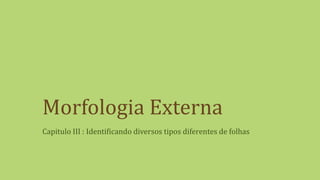 Morfologia Externa
Capitulo III : Identificando diversos tipos diferentes de folhas
 