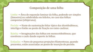 Composição de uma folha
Limbo → Área de expansão laminar da folha, podendo ser simples
(limoeiro) ou subdividida em folíolos, no caso das folhas
compostas (sibipiruna).
Pecíolo → Haste de sustentação foliar típico das dicotiledôneas,
interliga o limbo ao ponto de fixação no ramo caulinar.
Bainha → Invaginações das folhas em monocotiledôneas, que
envolvem o caule dando suporte às folhas.
Estípulas → Pares de pequenas projeções filamentosas, quando
presentes, estão associadas ao ponto de inserção do pecíolo.
 