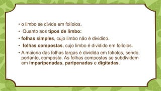 • o limbo se divide em folíolos.
• Quanto aos tipos de limbo:
• folhas simples, cujo limbo não é dividido.
• folhas compostas, cujo limbo é dividido em folíolos.
• A maioria das folhas largas é dividida em folíolos, sendo,
portanto, composta. As folhas compostas se subdividem
em imparipenadas, paripenadas e digitadas.
 