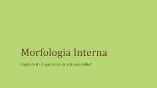 Morfologia Interna
Capitulo II : O que há dentro de uma folha?
 