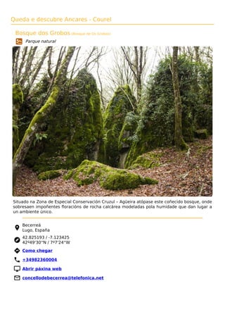 Queda e descubre Ancares - Courel
Bosque dos Grobos (Bosque de Os Grobos)
Parque natural
Situado na Zona de Especial Conservación Cruzul – Agüeira atópase este coñecido bosque, onde
sobresaen impoñentes ﬂoracións de rocha calcárea modeladas pola humidade que dan lugar a
un ambiente único.
Becerreá
Lugo, España
42.825193 / -7.123425
42º49'30''N / 7º7'24''W
 Como chegar
 +34982360004
 Abrir páxina web
 concellodebecerrea@telefonica.net
 