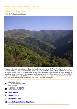 Queda e descubre Ancares - Courel
Devesa da Rogueira
Actividades na natureza
Bosque máis representativo do Courel situado na aba norte do Pico Formigueiros e que se
estende ao longo de 3 quilómetros cadrados polas pegadas dun antigo glaciar. Na devesa
podemos atopar unha gran variedade de especies vexetais como bidueiros, faias, pradairos,
capudres, acivros, teixos, etc. A devesa pode percorrerse seguindo unha ruta de sendeirismo
que pode inicarse no Alto do Couto (na parte máis alta) ou ben seguindo un camiño en ascenso
dende a Aula da Natureza da Devesa da Rogueira, situada en Moreda.
Folgoso do Courel
27325 Folgoso do Courel
Lugo, España
42.608556 / -7.105972
42º36'30''N / 7º6'21''W
 Como chegar
 +34982433134
 Abrir páxina web
 concellofolgosodocourel@yahoo.es
 