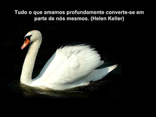 Tudo o que amamos profundamente converte-se em
       parte de nós mesmos. (Helen Keller)
 