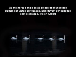 As melhores e mais belas coisas do mundo não
podem ser vistas ou tocadas. Elas devem ser sentidas
           com o coração. (Helen Keller)
 