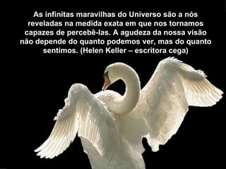 As infinitas maravilhas do Universo são a nós
  reveladas na medida exata em que nos tornamos
 capazes de percebê-las. A agudeza da nossa visão
não depende do quanto podemos ver, mas do quanto
      sentimos. (Helen Keller – escritora cega)
 