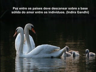 Paz entre os países deve descansar sobre a base
sólida do amor entre os indivíduos. (Indira Gandhi)
 
