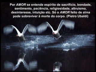 Por AMOR se entende espírito de sacrifício, bondade,
   sentimento, paciência, religiosidade, altruísmo,
 desinteresse, intuição etc. Só o AMOR feito de alma
  pode sobreviver à morte do corpo. (Pietro Ubaldi)
 