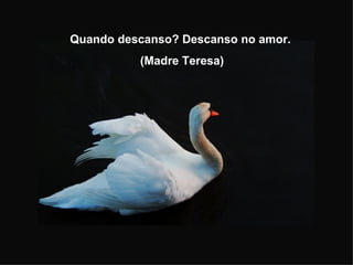 Quando descanso? Descanso no amor.
          (Madre Teresa)
 