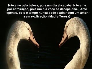 Não ame pela beleza, pois um dia ela acaba. Não ame
por admiração, pois um dia você se decepciona... Ame
apenas, pois o tempo nunca pode acabar com um amor
           sem explicação. (Madre Teresa)
 
