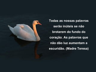 Todas as nossas palavras
  serão inúteis se não
  brotarem do fundo do
coração. As palavras que
não dão luz aumentam a
escuridão. (Madre Teresa)
 