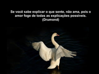 Se você sabe explicar o que sente, não ama, pois o
  amor foge de todas as explicações possíveis.
                   (Drumond)
 