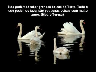 Não podemos fazer grandes coisas na Terra. Tudo o
que podemos fazer são pequenas coisas com muito
             amor. (Madre Teresa).
 