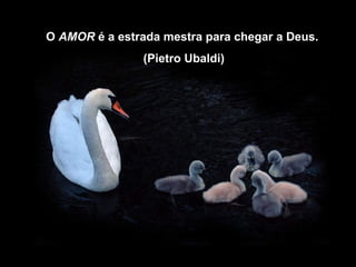 O AMOR é a estrada mestra para chegar a Deus.
                (Pietro Ubaldi)
 