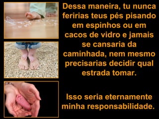 Dessa maneira, tu nunca feririas teus pés pisando em espinhos ou em cacos de vidro e jamais se cansaria da caminhada, nem mesmo precisarias decidir qual estrada tomar. Isso seria eternamente minha responsabilidade.  