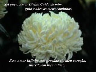 Sei que o Amor Divino Cuida de mim,  guia e abre os meus caminhos.   Esse Amor Infinito está gravado em meu coração, inscrito em meu íntimo.   