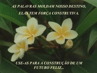 AS PALAVRAS MOLDAM NOSSO DESTINO, ELAS TEM FORÇA CONSTRUTIVA. USE-AS PARA A CONSTRUÇÃO DE UM FUTURO FELIZ... 