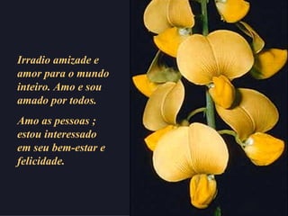 Irradio amizade e amor para o mundo inteiro. Amo e sou amado por todos.  Amo as pessoas ; estou interessado em seu bem-estar e felicidade. 