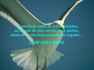 Na escalada rumo às altas posições,
ou no afã de concretizar seus sonhos,
observe se não está pisando em alguém...
OLHE PARA BAIXO