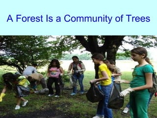 A Forest Is a Community of Trees 