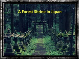 A Forest Shrine in Japan 
 