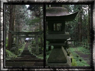 A forest shrine in japan