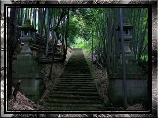 A forest shrine in japan