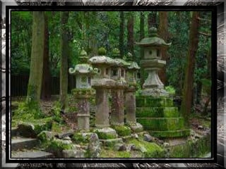 A forest shrine in japan