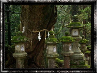 A forest shrine in japan